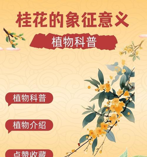 花桂花花语代表了什么？在传统中有什么意义？