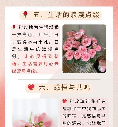 聚心花花语有何深意？适合哪种情感表达？