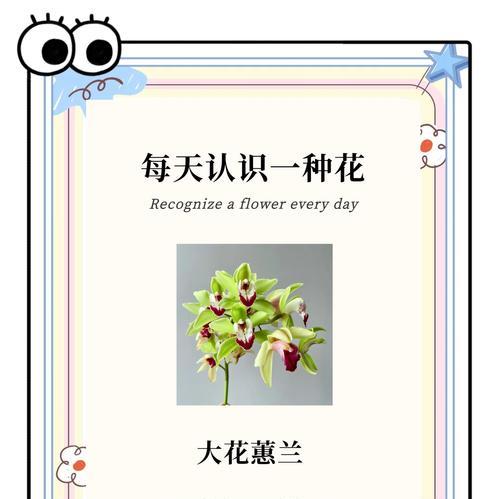小蕙兰花语代表了什么？在送花时有何讲究？
