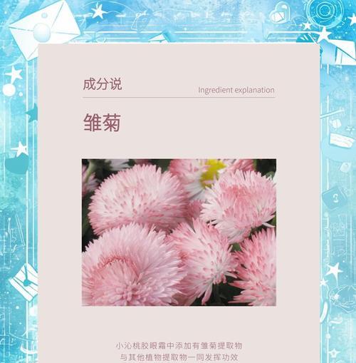 先雏菊花语是什么意思？适合哪种场合使用？