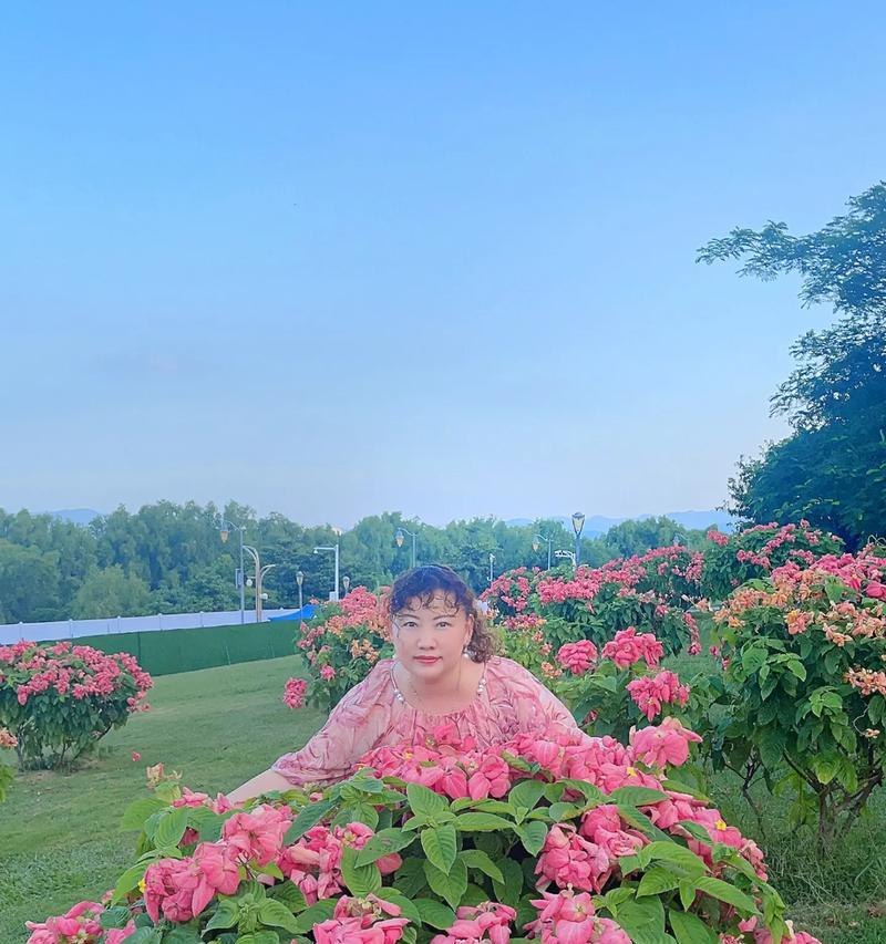 粉带的花语有何特别之处？如何挑选粉带花？