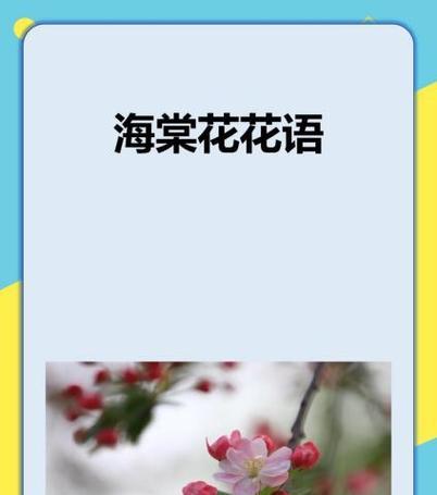 全花系花语有哪些？如何理解各种花的含义？
