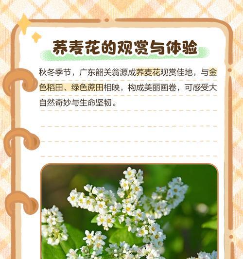 全花系花语有哪些？如何理解各种花的含义？
