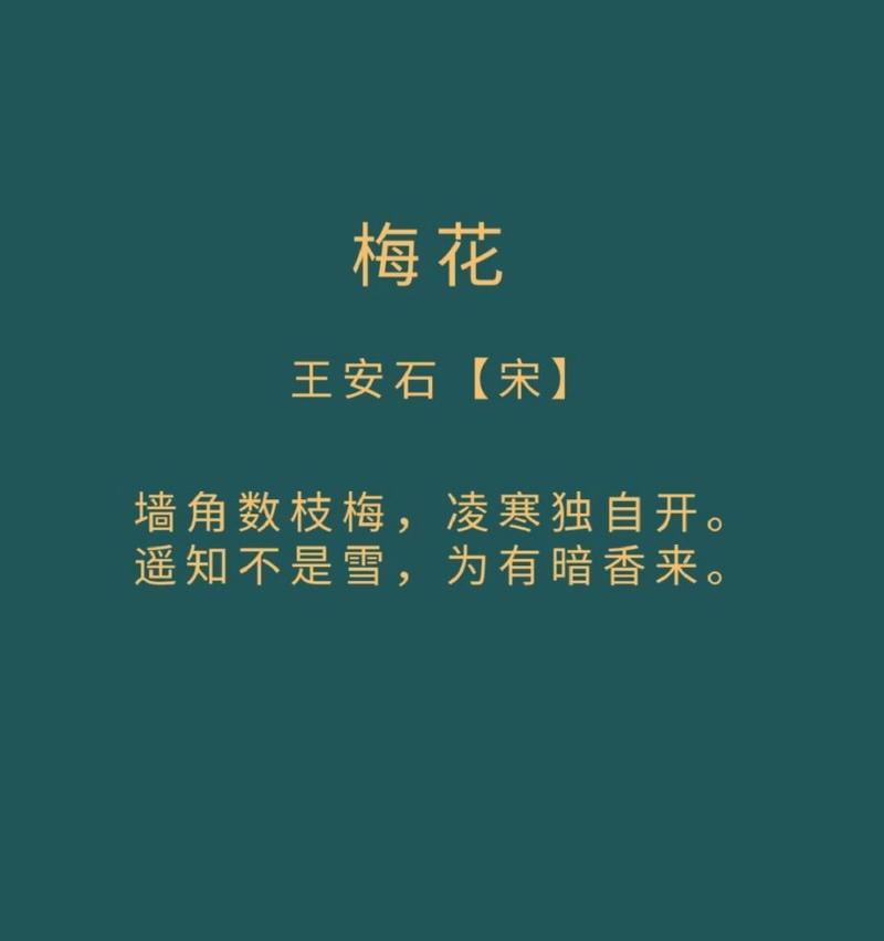 真梅花的花语是什么？如何用真梅花表达情感？