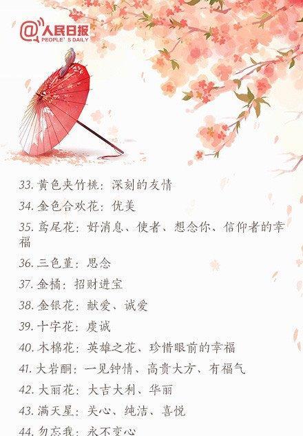 孔崔草花语有何特别之处？如何用孔崔草表达爱意？