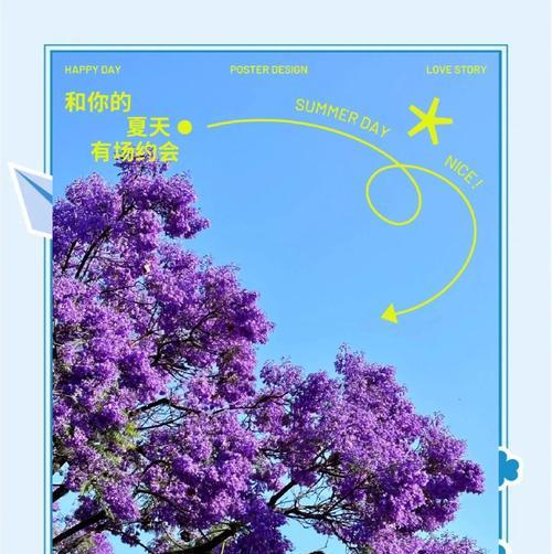 蓝花盈花语代表什么？蓝花盈的寓意是什么？