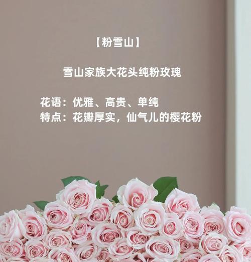 最仙的花语是什么？如何用花语表达仙气？