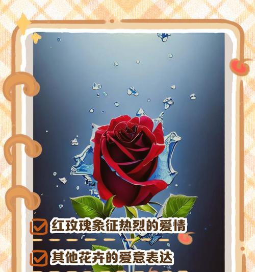 爱花语的花是什么意思？爱花语的花象征着什么？