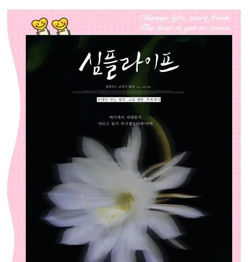 昙花花花语是什么？昙花象征着什么？