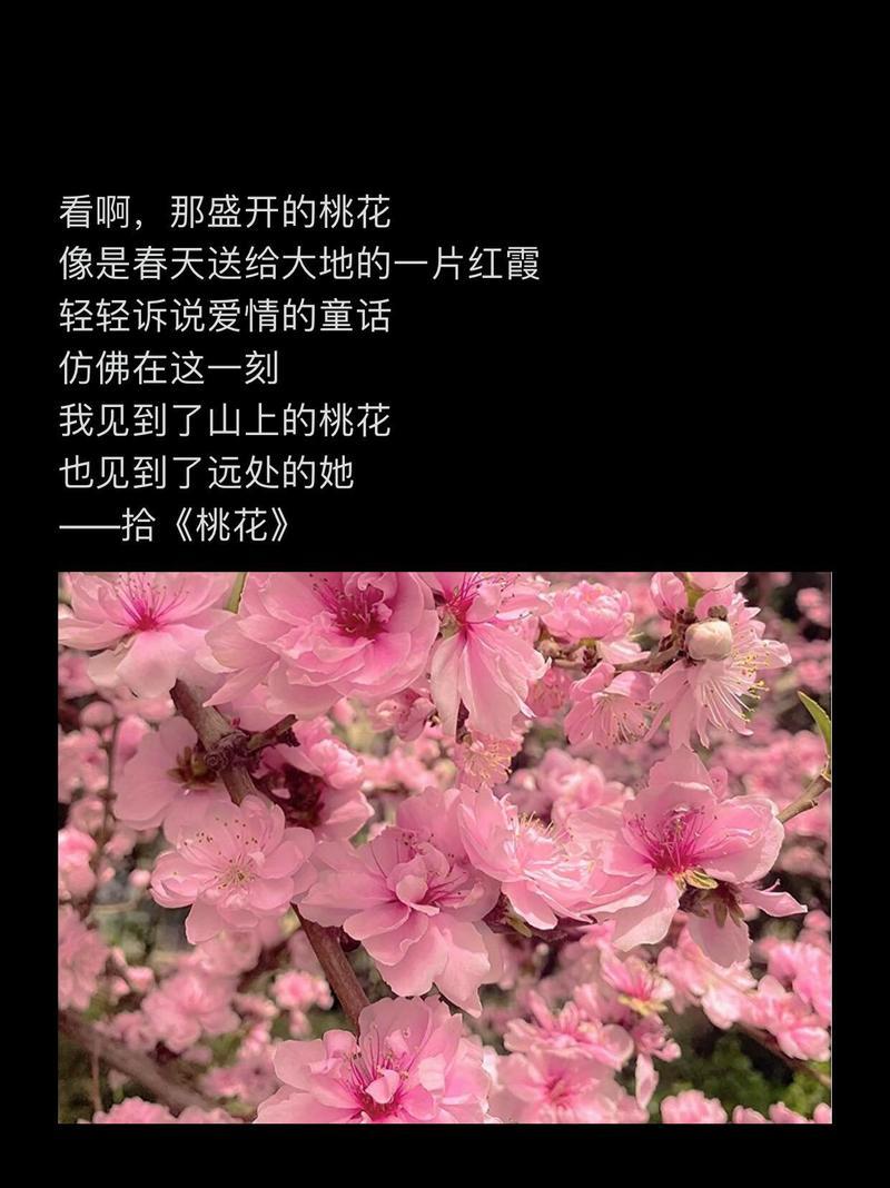 金桃花花语是什么？如何用金桃花表达爱意？