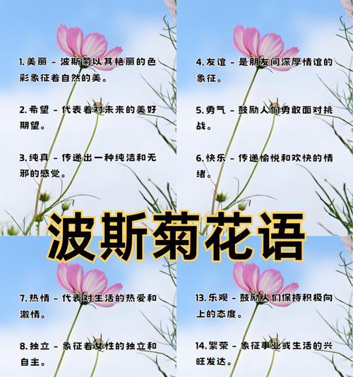 佛朗菊花语是什么？佛朗菊在不同文化中的意义？
