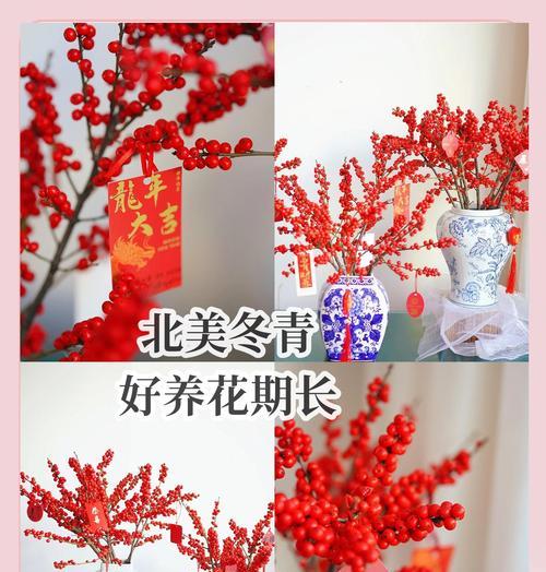 北冬青花语是什么？北冬青在花语中的意义？