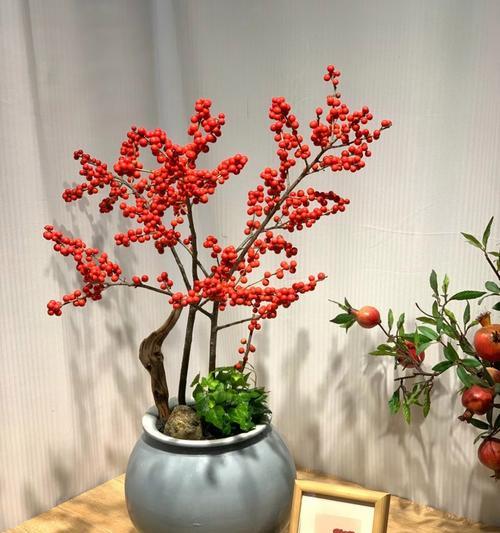 北冬青花语是什么？北冬青在花语中的意义？