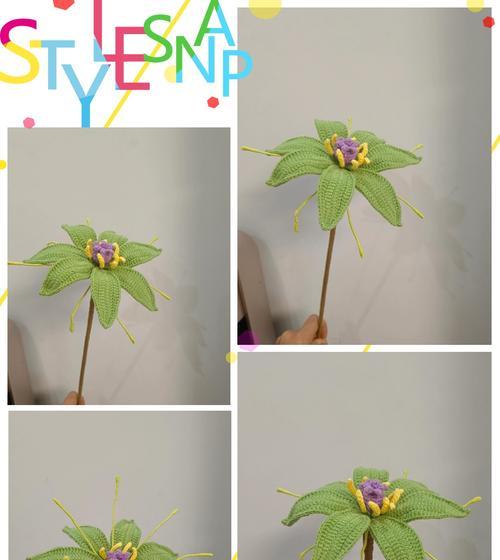 七叶的花语是什么？如何正确解读七叶植物的含义？