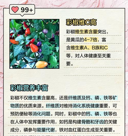 种彩椒的花语代表什么？种彩椒的寓意是什么？