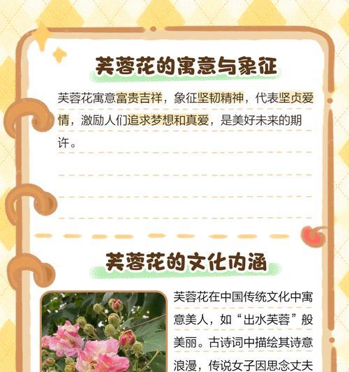 总花的花语是什么？总花代表了哪些情感？