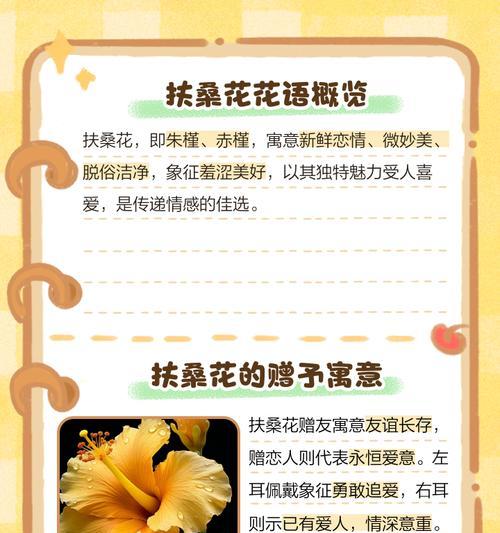 总花的花语是什么？总花代表了哪些情感？