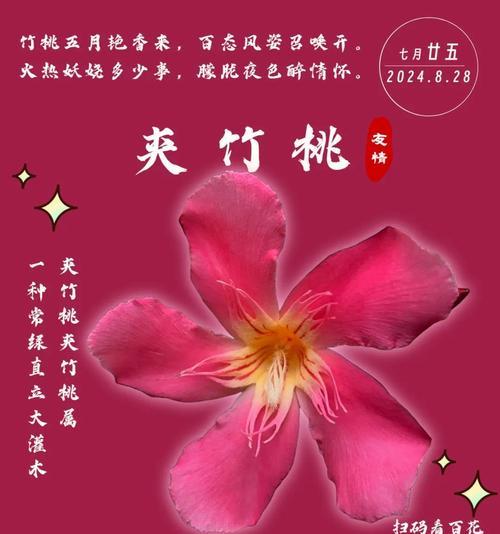 花语竹子代表什么？竹子的花语有哪些含义？