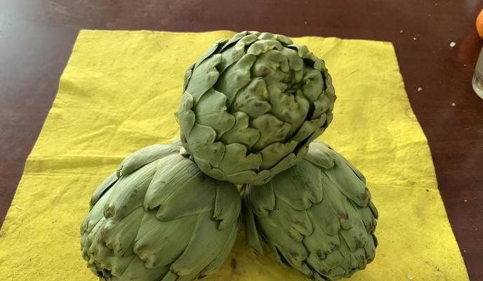 洋蓟花语是什么意思？洋蓟的花语有哪些？