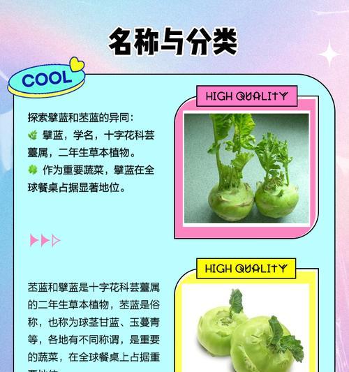 苤蓝花语是什么？苤蓝的花语有哪些含义？