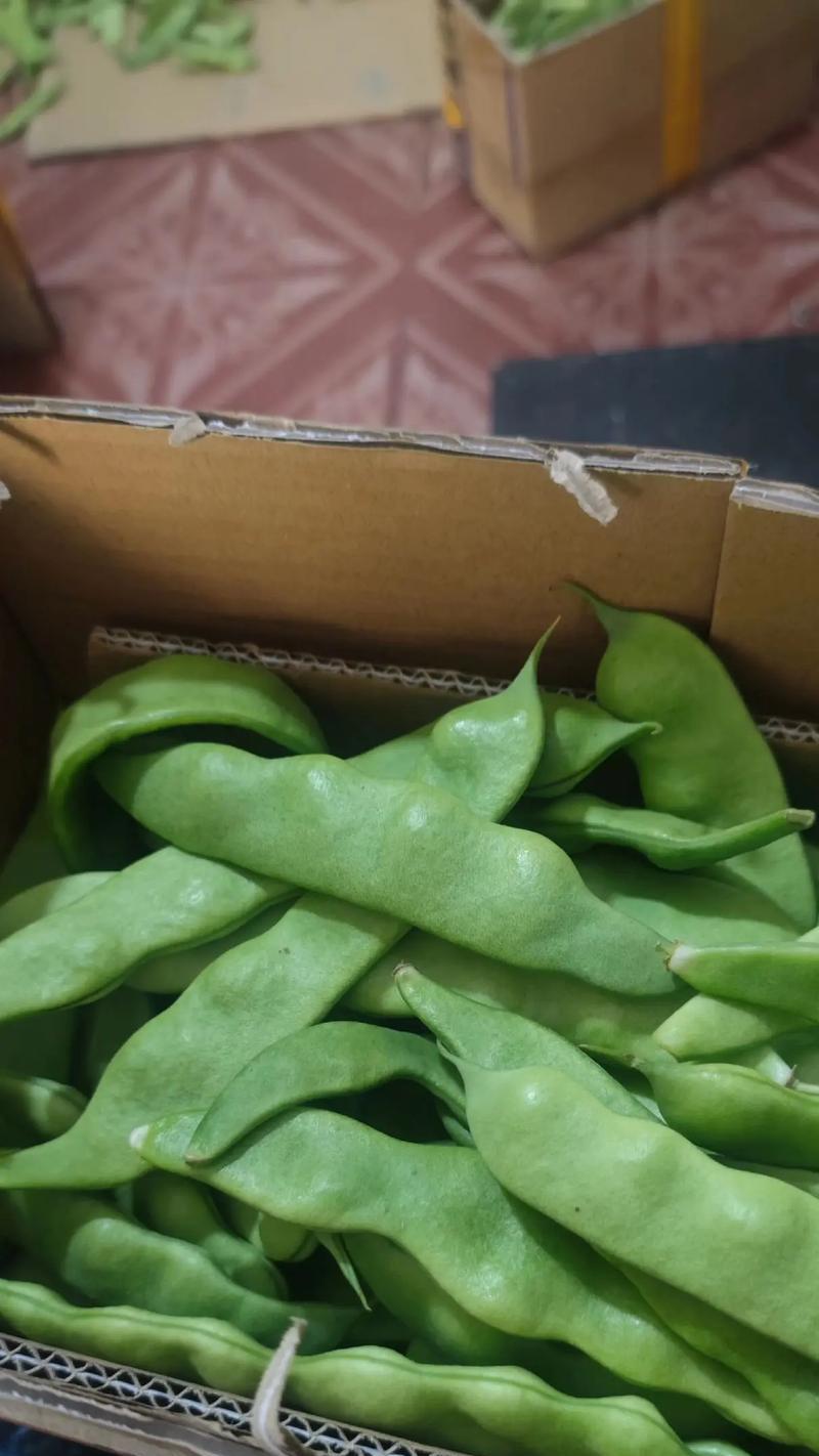 豆角花语是什么意思？豆角的花语有哪些？