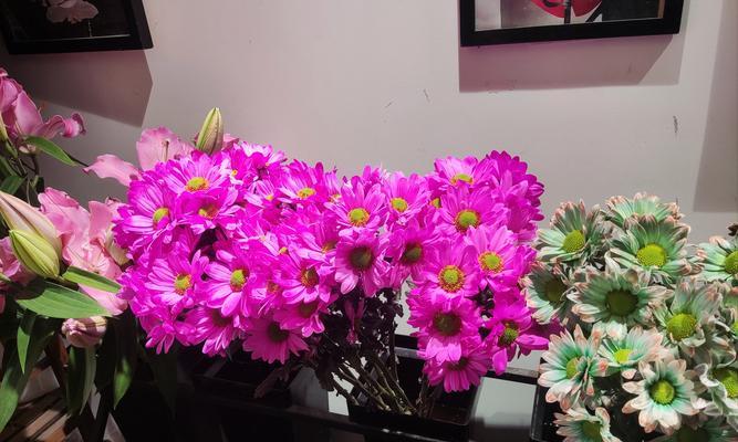 花语迎接是什么意思？迎接的花语有哪些？