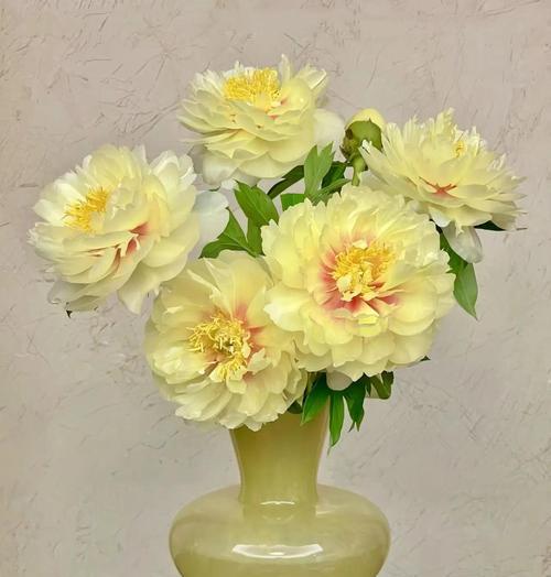 别离花语代表什么？如何用花表达离别之情？