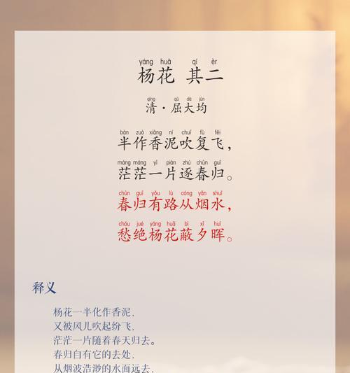胡杨的花语是什么？如何用胡杨表达坚韧？