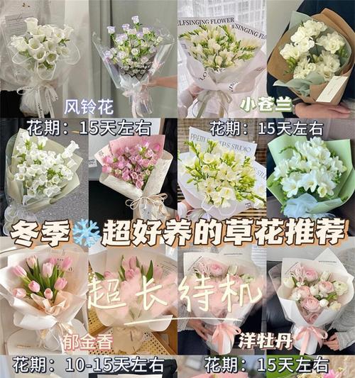 最美花花语有哪些？如何挑选最美的花？