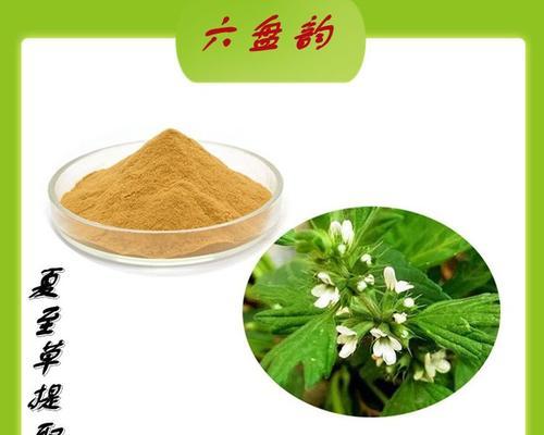 夏至草花语有哪些含义？夏至草象征着什么？