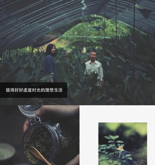 花语无用是什么意思？花语无用有何含义？