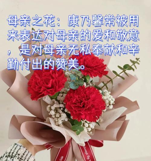 发财花语有哪些？如何用花语表达对财富的渴望？