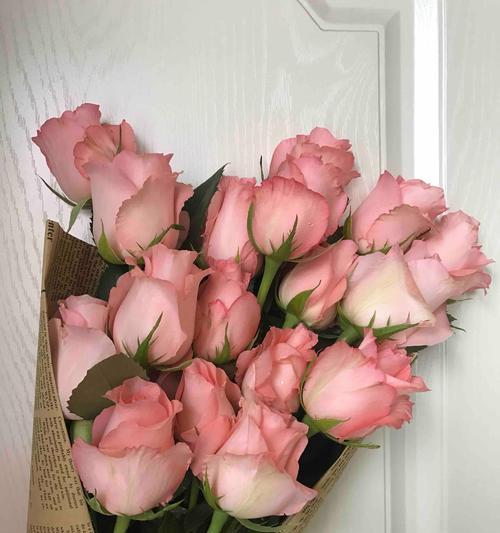 胧月花语是什么意思？胧月花在花语中象征什么？