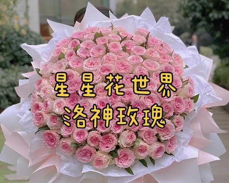 星星花语代表什么？星星花常用于哪些场合？