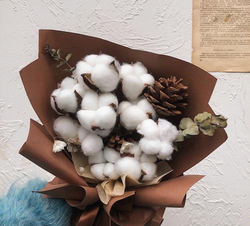 棉棉花花语是什么意思？棉棉花在花语中代表什么？