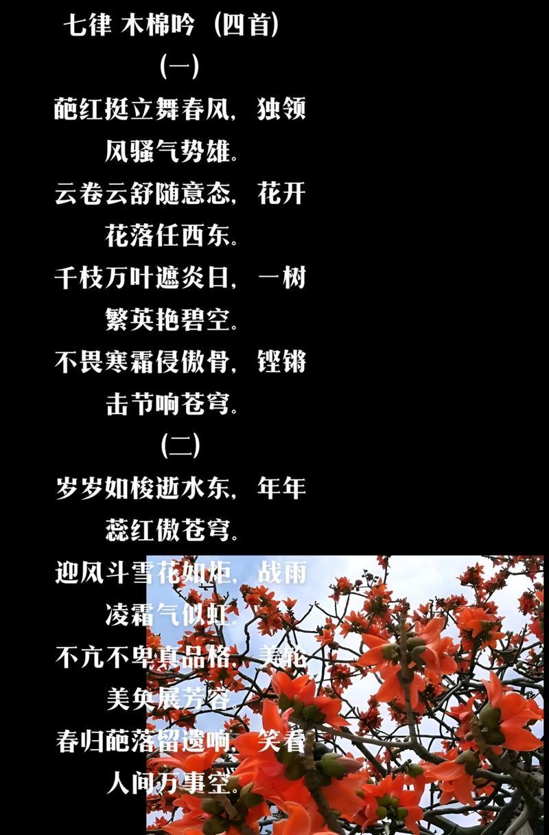 棉棉花花语是什么意思？棉棉花在花语中代表什么？