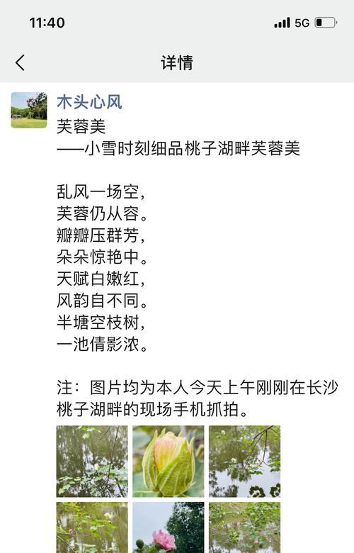 芙蓉花语诗是怎样的？芙蓉花在诗歌中如何被描述？
