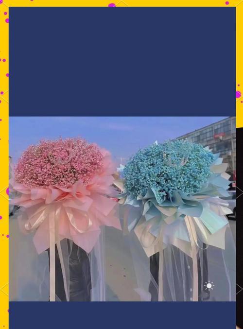 春星花花语有哪些？春星花代表了哪些意义？