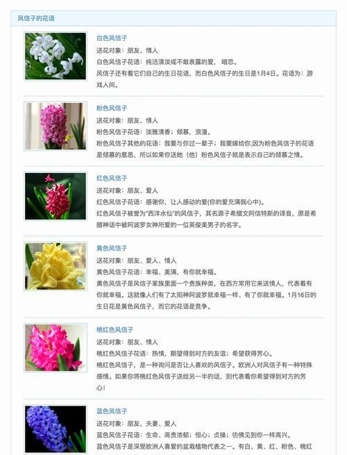 马帝联花语是什么？马帝联花在花语中象征着什么？