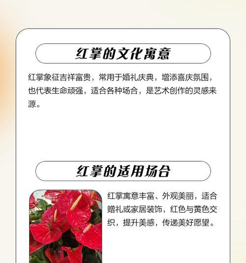 红掌海花语是什么意思？红掌海在花语中象征着什么？