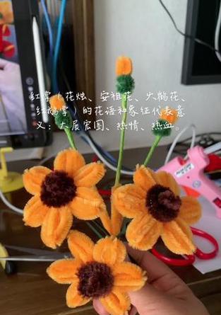 红掌烛花语是什么？红掌烛在花语中代表了什么？