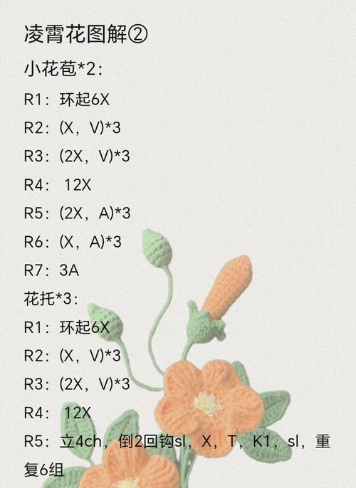 硬凌霄花语是什么意思？硬凌霄的花语有何寓意？