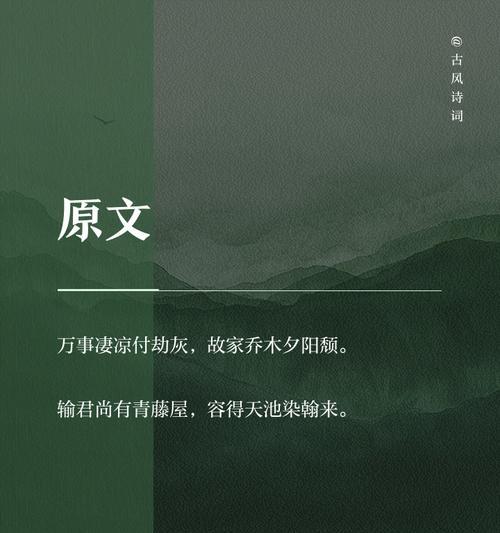 三尺藤花语代表什么？三尺藤的花语有何特别之处？