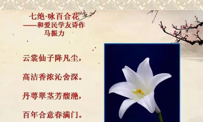 木白花花语是什么？木白花的花语有何含义？
