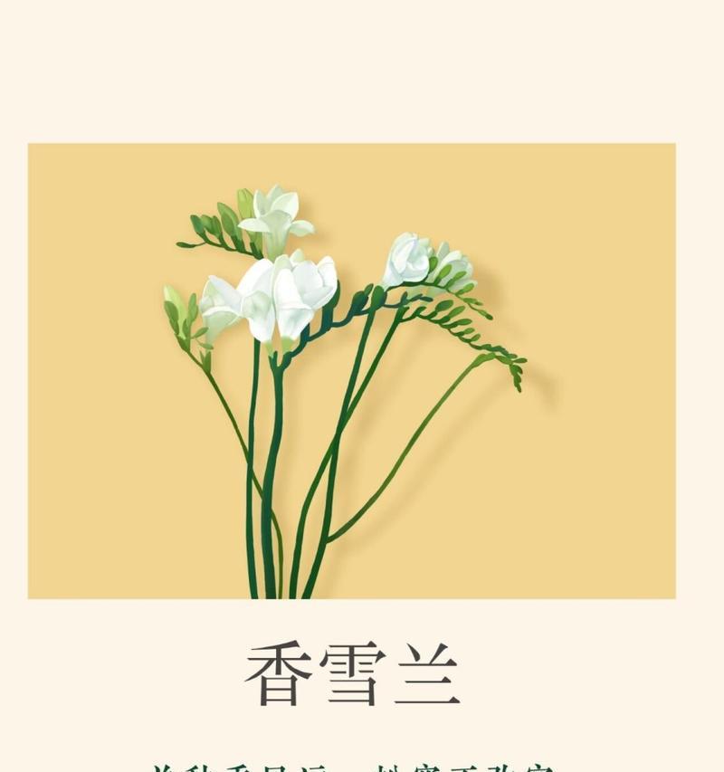 百香兰花语是什么意思？百香兰的花语有何寓意？
