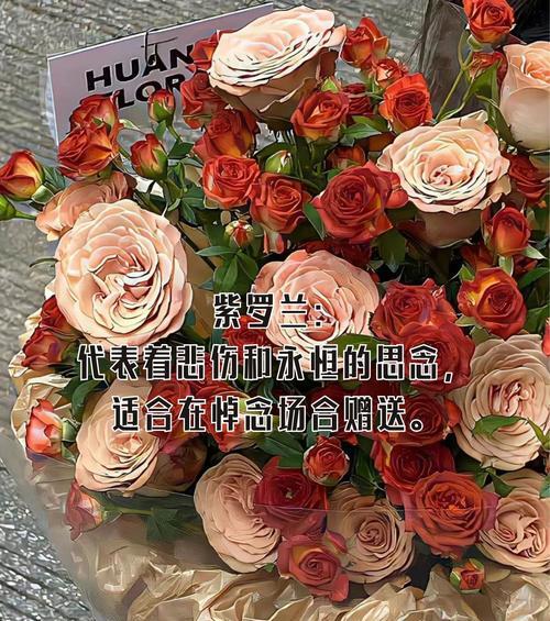 花语憧憬代表什么？如何用花卉表达美好愿望？