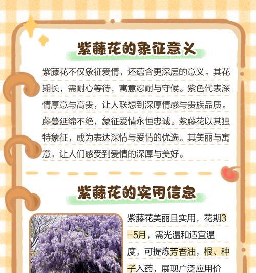 藤蔓植物的花语有哪些？如何打造美丽的藤蔓花园？