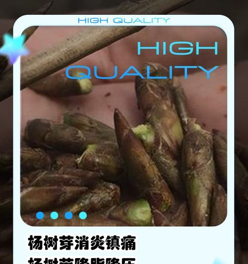 杨树的花语是什么？杨树在园林中的作用有哪些？