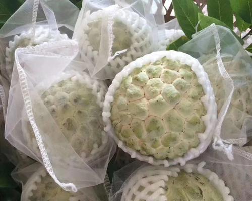 林檎花语代表什么？林檎树的栽培要点有哪些？