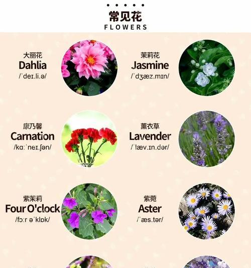 麒麟冠花语有哪些含义？麒麟冠的花语解读是什么？